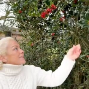 Sarah Beeny Instagram - This is one of my favourite Christmas jobs. 🌲🌳🌿 Gathering all the greenery for the table. #holly #ivy #evergreen #christmas xx