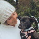 Sarah Chalke Instagram - The puppy my sisters and I are fostering...5 months old and she’s got the best ears going...❤️❤️❤️❤️