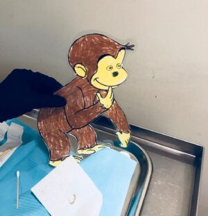 Sarah Chalke Instagram - For my niece’s school project, she had to mail George to me and we had to go on some adventures together. He loved skiing, we got an ear pierce, (his first, my second) went to Radio City Music Hall, he came to work with me, loved New York pretzels…you can visit anytime George.