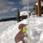 Sarah Chalke Instagram - For my niece’s school project, she had to mail George to me and we had to go on some adventures together. He loved skiing, we got an ear pierce, (his first, my second) went to Radio City Music Hall, he came to work with me, loved New York pretzels…you can visit anytime George.