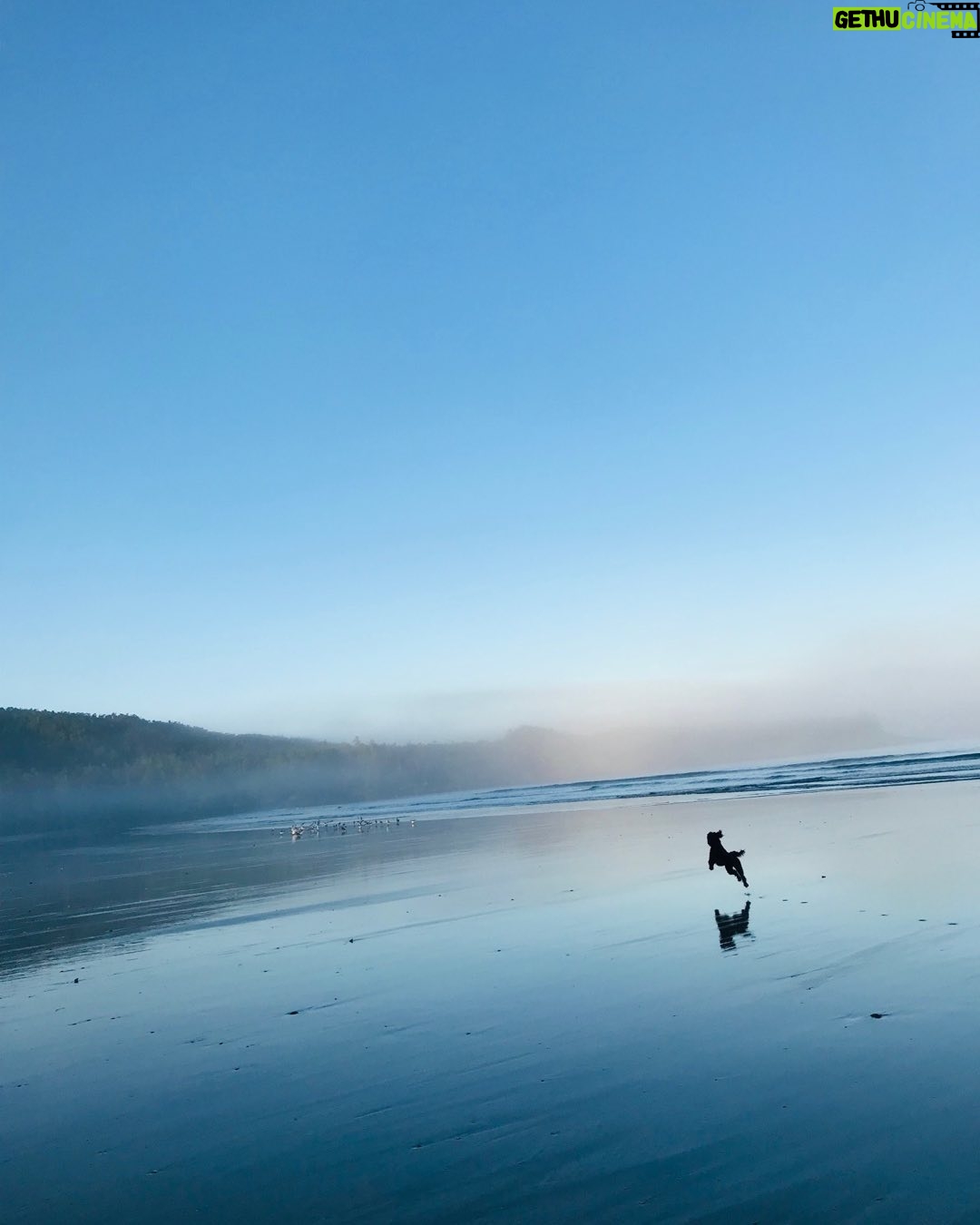 Sarah Chalke Instagram - Happy Earth Day 🌎 Love Sadie 🐕