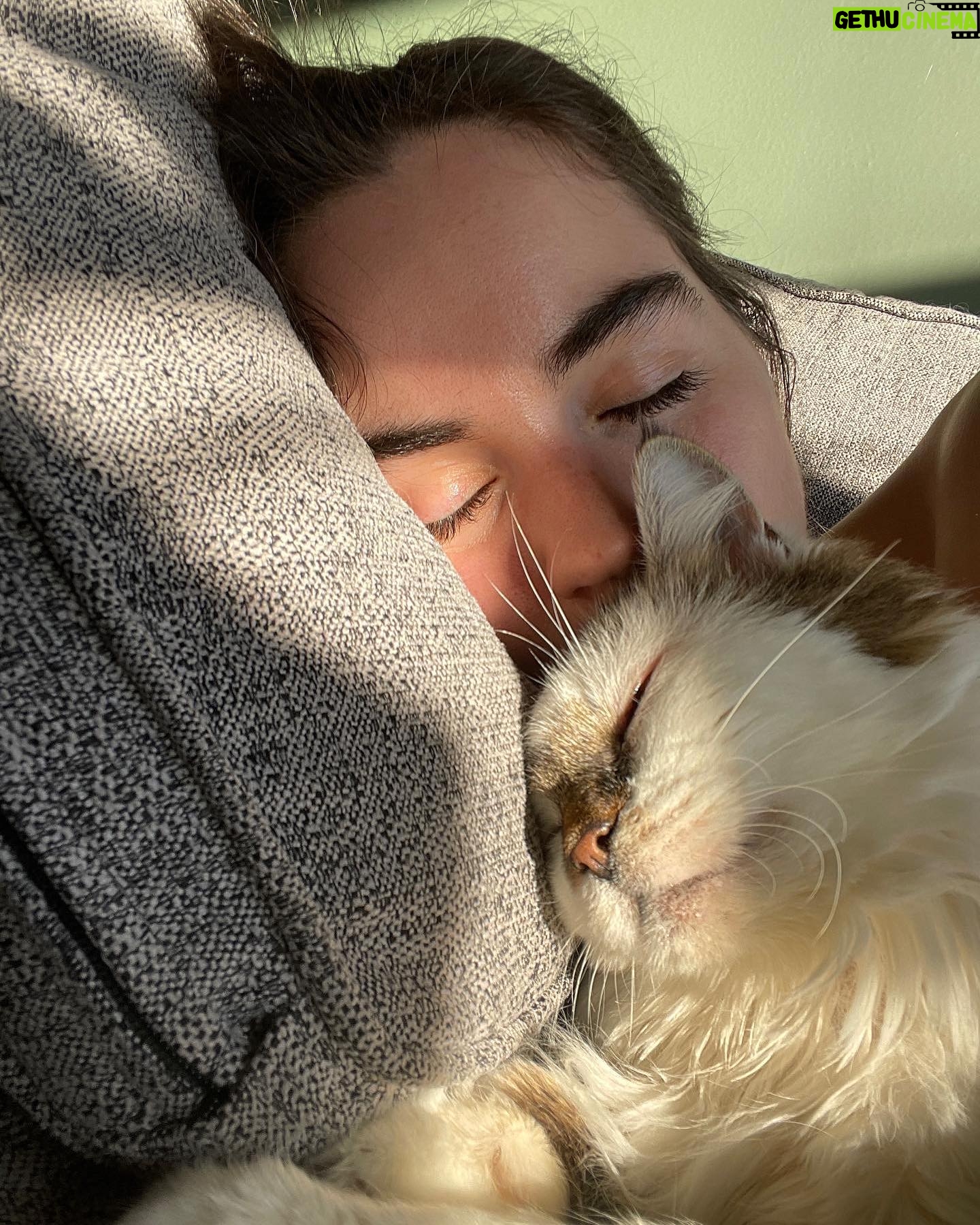 Sarah Desjardins Instagram - Kim is sitting in my lap as I write this. I wouldn’t be able to do it otherwise. 23 years is almost unheard of for a cat. She stuck by my side as long as she possibly could. She knew I needed her more than I did. Today I had to let the love of my life go. I will never forget every second I spent with her. Kim may have been a cat but she behaved like a human being. She understood all my emotions and gave me so much unconditional love and empathy. She spooned with me in the mornings, she curled up on my chest when she could sense that I was sad, she just wanted to be touching me at all times to be honest with you…even if she sat next to me and just placed her paw on my hand. Since I was a kid we were always in it together. She’s moved with me through every city and season of my life. I’m so deeply grateful to have gotten to share it with a little lady this special. My life has always contained a lot of heaviness and Kim has willingly carried that load with me. As of late it’s felt as though my nervous system is finally nearing a point where it’s ready to release some of that weight…no doubt in part to her. A new chapter lies ahead and in the most devastating way it almost makes sense that she wasn’t meant to come with me. (I’m crying now and Kim has migrated to rubbing against my face) While it will be impossible not to feel her absence I will also always carry the profound impact she had on my entire being, the way I love and how I walk through life. Goodbye Kim ♥️ You will be with me forever. watch the last slide till the end. I just found it and it kills me 🤍