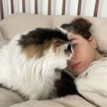 Sarah Desjardins Instagram - Kim is sitting in my lap as I write this. I wouldn’t be able to do it otherwise. 23 years is almost unheard of for a cat. She stuck by my side as long as she possibly could. She knew I needed her more than I did. Today I had to let the love of my life go. I will never forget every second I spent with her. Kim may have been a cat but she behaved like a human being. She understood all my emotions and gave me so much unconditional love and empathy. She spooned with me in the mornings, she curled up on my chest when she could sense that I was sad, she just wanted to be touching me at all times to be honest with you…even if she sat next to me and just placed her paw on my hand. Since I was a kid we were always in it together. She’s moved with me through every city and season of my life. I’m so deeply grateful to have gotten to share it with a little lady this special. My life has always contained a lot of heaviness and Kim has willingly carried that load with me. As of late it’s felt as though my nervous system is finally nearing a point where it’s ready to release some of that weight…no doubt in part to her. A new chapter lies ahead and in the most devastating way it almost makes sense that she wasn’t meant to come with me. (I’m crying now and Kim has migrated to rubbing against my face) While it will be impossible not to feel her absence I will also always carry the profound impact she had on my entire being, the way I love and how I walk through life. Goodbye Kim ♥️ You will be with me forever. watch the last slide till the end. I just found it and it kills me 🤍
