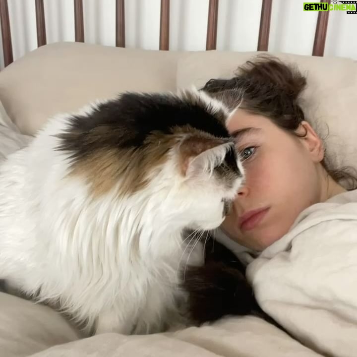 Sarah Desjardins Instagram - Kim is sitting in my lap as I write this. I wouldn’t be able to do it otherwise. 23 years is almost unheard of for a cat. She stuck by my side as long as she possibly could. She knew I needed her more than I did. Today I had to let the love of my life go. I will never forget every second I spent with her. Kim may have been a cat but she behaved like a human being. She understood all my emotions and gave me so much unconditional love and empathy. She spooned with me in the mornings, she curled up on my chest when she could sense that I was sad, she just wanted to be touching me at all times to be honest with you…even if she sat next to me and just placed her paw on my hand. Since I was a kid we were always in it together. She’s moved with me through every city and season of my life. I’m so deeply grateful to have gotten to share it with a little lady this special. My life has always contained a lot of heaviness and Kim has willingly carried that load with me. As of late it’s felt as though my nervous system is finally nearing a point where it’s ready to release some of that weight…no doubt in part to her. A new chapter lies ahead and in the most devastating way it almost makes sense that she wasn’t meant to come with me. (I’m crying now and Kim has migrated to rubbing against my face) While it will be impossible not to feel her absence I will also always carry the profound impact she had on my entire being, the way I love and how I walk through life. Goodbye Kim ♥️ You will be with me forever. watch the last slide till the end. I just found it and it kills me 🤍