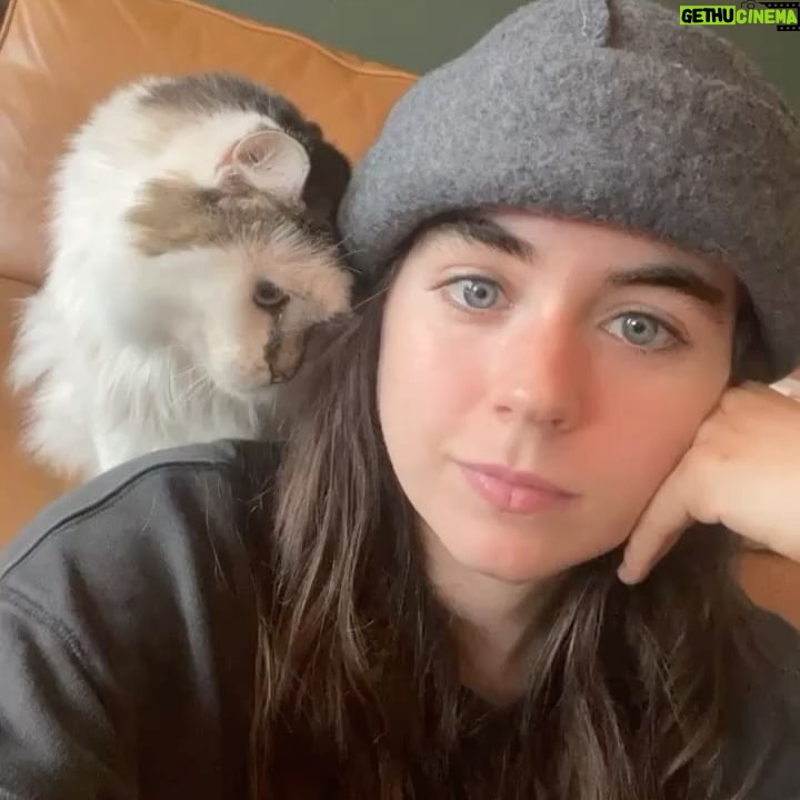 Sarah Desjardins Instagram - Kim is sitting in my lap as I write this. I wouldn’t be able to do it otherwise. 23 years is almost unheard of for a cat. She stuck by my side as long as she possibly could. She knew I needed her more than I did. Today I had to let the love of my life go. I will never forget every second I spent with her. Kim may have been a cat but she behaved like a human being. She understood all my emotions and gave me so much unconditional love and empathy. She spooned with me in the mornings, she curled up on my chest when she could sense that I was sad, she just wanted to be touching me at all times to be honest with you…even if she sat next to me and just placed her paw on my hand. Since I was a kid we were always in it together. She’s moved with me through every city and season of my life. I’m so deeply grateful to have gotten to share it with a little lady this special. My life has always contained a lot of heaviness and Kim has willingly carried that load with me. As of late it’s felt as though my nervous system is finally nearing a point where it’s ready to release some of that weight…no doubt in part to her. A new chapter lies ahead and in the most devastating way it almost makes sense that she wasn’t meant to come with me. (I’m crying now and Kim has migrated to rubbing against my face) While it will be impossible not to feel her absence I will also always carry the profound impact she had on my entire being, the way I love and how I walk through life. Goodbye Kim ♥️ You will be with me forever. watch the last slide till the end. I just found it and it kills me 🤍