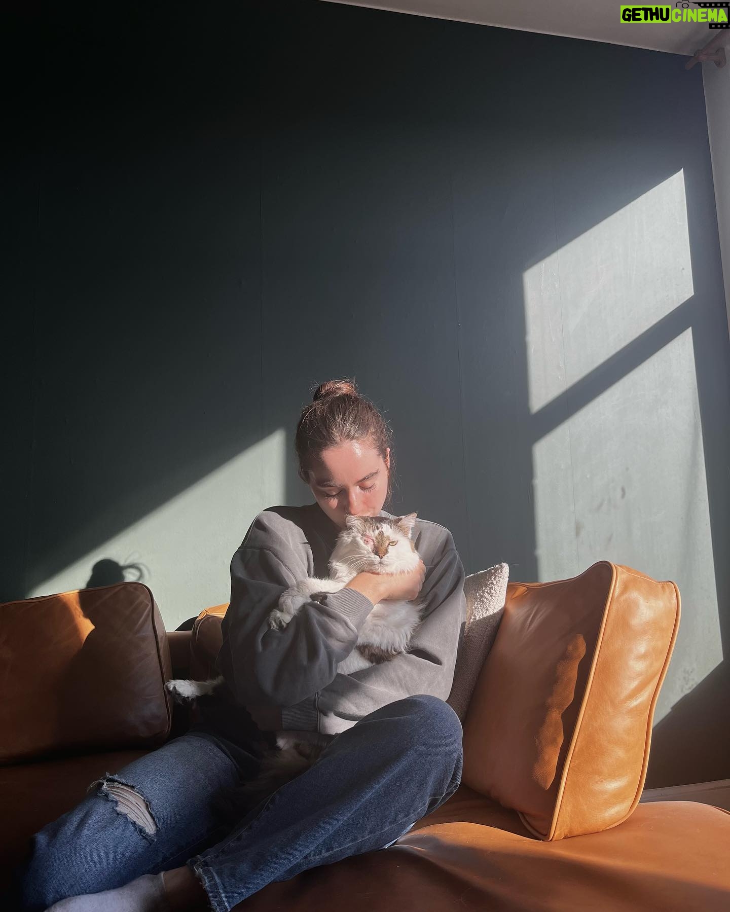 Sarah Desjardins Instagram - Kim is sitting in my lap as I write this. I wouldn’t be able to do it otherwise. 23 years is almost unheard of for a cat. She stuck by my side as long as she possibly could. She knew I needed her more than I did. Today I had to let the love of my life go. I will never forget every second I spent with her. Kim may have been a cat but she behaved like a human being. She understood all my emotions and gave me so much unconditional love and empathy. She spooned with me in the mornings, she curled up on my chest when she could sense that I was sad, she just wanted to be touching me at all times to be honest with you…even if she sat next to me and just placed her paw on my hand. Since I was a kid we were always in it together. She’s moved with me through every city and season of my life. I’m so deeply grateful to have gotten to share it with a little lady this special. My life has always contained a lot of heaviness and Kim has willingly carried that load with me. As of late it’s felt as though my nervous system is finally nearing a point where it’s ready to release some of that weight…no doubt in part to her. A new chapter lies ahead and in the most devastating way it almost makes sense that she wasn’t meant to come with me. (I’m crying now and Kim has migrated to rubbing against my face) While it will be impossible not to feel her absence I will also always carry the profound impact she had on my entire being, the way I love and how I walk through life. Goodbye Kim ♥️ You will be with me forever. watch the last slide till the end. I just found it and it kills me 🤍