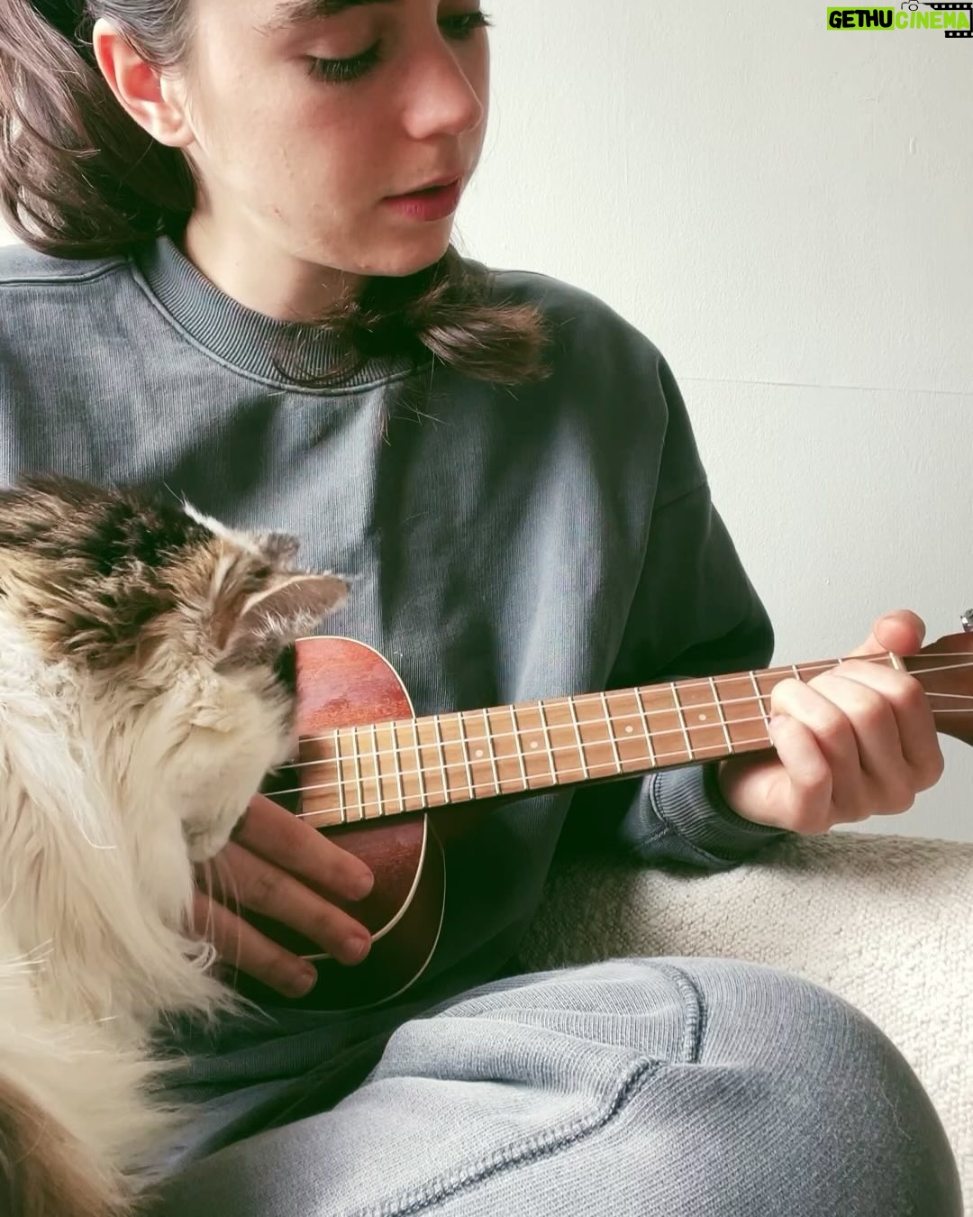 Sarah Desjardins Instagram - Kim is sitting in my lap as I write this. I wouldn’t be able to do it otherwise. 23 years is almost unheard of for a cat. She stuck by my side as long as she possibly could. She knew I needed her more than I did. Today I had to let the love of my life go. I will never forget every second I spent with her. Kim may have been a cat but she behaved like a human being. She understood all my emotions and gave me so much unconditional love and empathy. She spooned with me in the mornings, she curled up on my chest when she could sense that I was sad, she just wanted to be touching me at all times to be honest with you…even if she sat next to me and just placed her paw on my hand. Since I was a kid we were always in it together. She’s moved with me through every city and season of my life. I’m so deeply grateful to have gotten to share it with a little lady this special. My life has always contained a lot of heaviness and Kim has willingly carried that load with me. As of late it’s felt as though my nervous system is finally nearing a point where it’s ready to release some of that weight…no doubt in part to her. A new chapter lies ahead and in the most devastating way it almost makes sense that she wasn’t meant to come with me. (I’m crying now and Kim has migrated to rubbing against my face) While it will be impossible not to feel her absence I will also always carry the profound impact she had on my entire being, the way I love and how I walk through life. Goodbye Kim ♥️ You will be with me forever. watch the last slide till the end. I just found it and it kills me 🤍