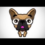 Sarah Harding Instagram – Guess who who’s back?! @yogisnap1  #headwear that’s who!!!😝🤘🏻👅🙌🏼🕶😍 Am pleased to announce my range will be making a comeback as from 4pm tomorrow…check out our new #official #website @yogisnap.com for more #info and to see the goods 😜….with a very #special #exclusive and #limitededition version ready to fly so don’t miss out if you’re already a #Yogisnap #fan!!!❤️❤️❤️
#snap #hats #summer #winter #trapper  #frenchie #frenchbulldog #love #yogi 🐶