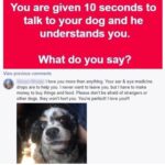 Sarah Harding Instagram – So true 👌🏼💯😌❤️…
#doggie #animal #paws #best #friends #mybabies #loyal #unconditional #love #feels 🐶❤️😌😘