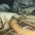 Sarah Harding Instagram – Motherly love ❤️😌💩😅🐶❤️ #frenchie #frenchbulldog #bestfriend #unconditional  #love ❤️😌❤️👌🏼