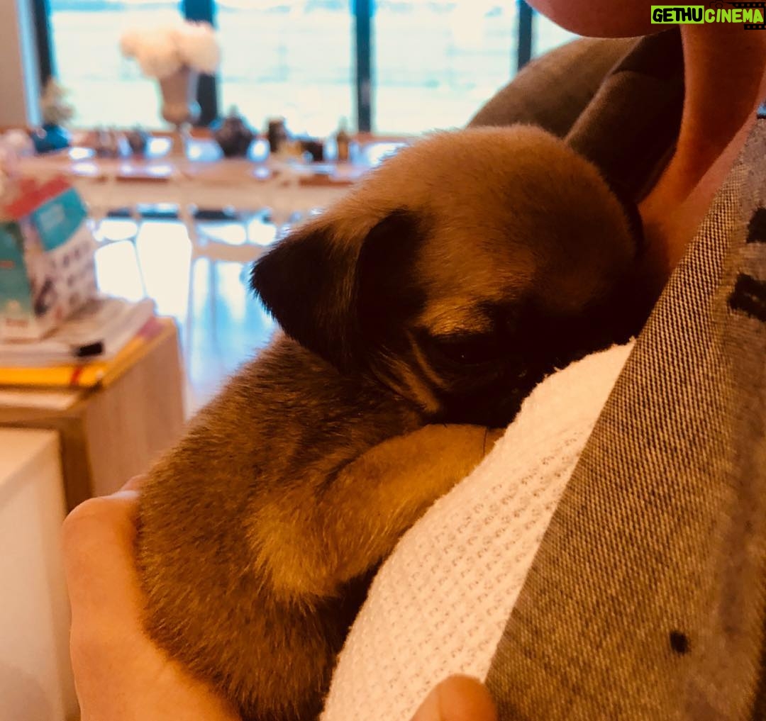 Sarah Harding - 8.8K Likes - In #love ❤️❤️❤️....
...#blue #cross #charity #total #animal #lover ❤️😍❤️