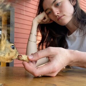 Sarah Pidgeon Instagram - Been doing this every morning. Squirrel’s name is Toes, for obvious reasons