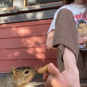 Sarah Pidgeon Instagram - Been doing this every morning. Squirrel’s name is Toes, for obvious reasons