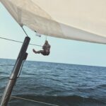 Sasha Alexander Instagram - You’re pretty Martha. ⛵️