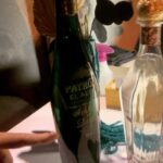 Sasha Alexander Instagram - Holiday spirits w/ @patron @derekblasberg @thealist.us ✨