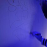 Sasha Lane Instagram – thank you for the invite – the designs- the good times. Loved it all  @gabrielahearst @chloe 🤍