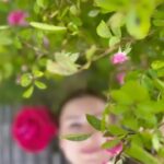 Sawsan Arsheed Instagram – كيف أخسر إيماني بعدل الحياة ،وأنا أعرف أن أحلام الذين ينامون على الرّيش ليست أجمل من أحلام الذين ينامون على الأرض .
جبران خليل جبران  #love #springtime #mygarden #peace #earth #goodsunday☀️ #happiness #syrianactress #france