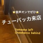 Saya Ichikawa Instagram -