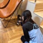 Saya Ichikawa Instagram - 「建もの探訪」のお正月スペシャル！渡辺篤史さんとさらば青春の光の森田さんと一緒に素敵な住宅を巡らせていただきました。 ⁡ 外壁素材を褒めすぎてなかなか建物の中に入らない渡辺さん、そしてつっこみまくる森田さん。楽しい時間でした。 そして！ 明後日(8日)成人の日は、JWAVEのホリデースペシャル「京都芸術大学 presents WHAT’S ART」をお送りします。今年で三年目！9時間の生放送、がんばります お時間許す方ぜひぜひ。メールもお待ちしてやす ⁡ 渡辺篤史の建もの探訪 さらば森田＆市川紗椰　建もの大好き芸能人ＳＰ 1月7日 あさ6:00～7:00 ⁡ JWAVE FM COCOLO HOLIDAY SPECIAL「京都芸術大学 presents WHAT’S ART 2024」 1月8日　9:00〜17:55 ⁡ #衣装 は #トップス　@aic_official #キャミワンピース　@baumundpferdgarten #パンツ @aoiwanaka.official #ブーツ @alm._official #シルバーリング　@porettofelun_jewelry #クォーツリング @bellis_jewerly_official #リング @maaa_jewelry #特別出演　 #猫のアルちゃんさん　 #相手にされない　 #でも癒し