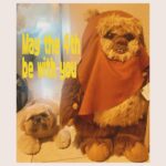 Saya Ichikawa Instagram - #maythe4thbewithyou #スターウォーズの日　#maytheforcebewithyou #shihtzu #ewok #我がパダワン　 #ついにインスタデビュー ⁡ ⁡ J-WAVE 「Orient Star TIME AND TIDE」 毎週土曜　２１時〜 @jwavetimeandtide 聴き逃しはPodcast版やRadikoにて ⁡ テレビ朝日 「Qさま」 ５月６日　19:00〜 ⁡ みなさん良いゴールデンウィークを！