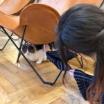 Saya Ichikawa Instagram - 「建もの探訪」のお正月スペシャル！渡辺篤史さんとさらば青春の光の森田さんと一緒に素敵な住宅を巡らせていただきました。 ⁡ 外壁素材を褒めすぎてなかなか建物の中に入らない渡辺さん、そしてつっこみまくる森田さん。楽しい時間でした。 そして！ 明後日(8日)成人の日は、JWAVEのホリデースペシャル「京都芸術大学 presents WHAT’S ART」をお送りします。今年で三年目！9時間の生放送、がんばります お時間許す方ぜひぜひ。メールもお待ちしてやす ⁡ 渡辺篤史の建もの探訪 さらば森田＆市川紗椰　建もの大好き芸能人ＳＰ 1月7日 あさ6:00～7:00 ⁡ JWAVE FM COCOLO HOLIDAY SPECIAL「京都芸術大学 presents WHAT’S ART 2024」 1月8日　9:00〜17:55 ⁡ #衣装 は #トップス　@aic_official #キャミワンピース　@baumundpferdgarten #パンツ @aoiwanaka.official #ブーツ @alm._official #シルバーリング　@porettofelun_jewelry #クォーツリング @bellis_jewerly_official #リング @maaa_jewelry #特別出演　 #猫のアルちゃんさん　 #相手にされない　 #でも癒し