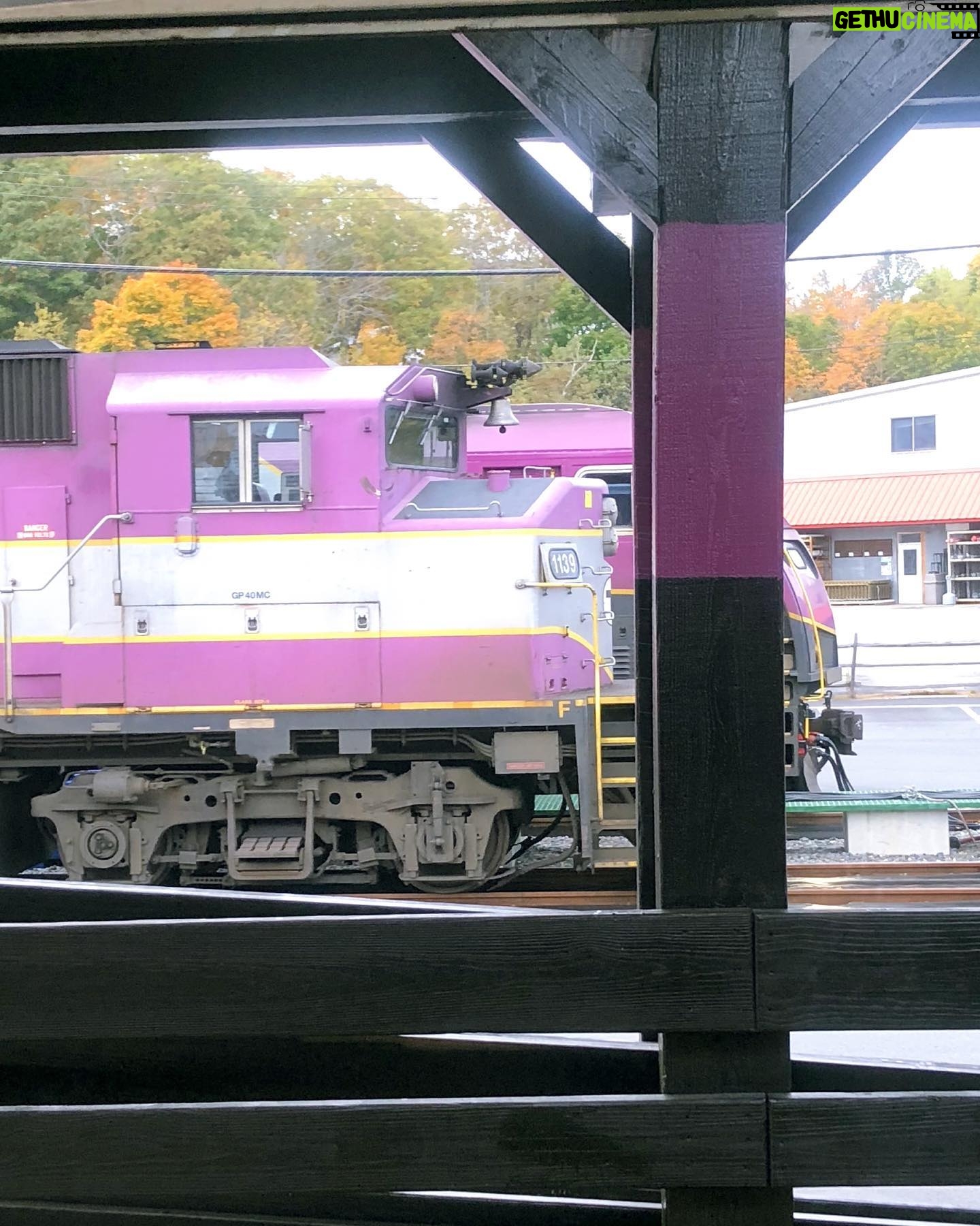 Saya Ichikawa Instagram - #mbta #GP40MC #F40PH #ボストンからニューベリーポート 内装がアメ車のトラックみたいで落ち着く 懐かし