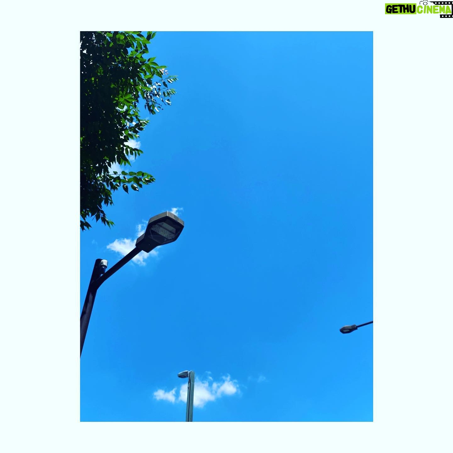 Sayaka Akimoto Instagram - 舞台「ようこそ、ミナト先生」無事初日の幕が開き、本日休演日です。 初日は舞台ポスターのイメージの様な、快晴でした。 「日本の歴史」でもお世話になった新国立劇場。 大好きな劇場です。 前回の舞台の時に、またここの舞台に立てますように、と思っていたのがこんなに早く叶うなんて。 同じ劇場でも作品が変わると、見える景色が変わって見えてとても新鮮です。 ここ数年は、夏は何故か忙しくさせて貰っていて、夏らしい事が出来ず、あっという間に夏が通り過ぎていく感覚でした。 今回の舞台は夏が舞台なので、素晴らしいセットと照明、音響効果で一足早い夏を感じられています。 (でも、いつかバーベキューやりたいし、海や川にも行きたい。) 相葉さんを筆頭にわいわい和やかなカンパニーで毎公演、大切に物語をお届けできたらと思います。 宜しくお願い致します☺️ #ようこそミナト先生