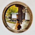 Sayaka Akimoto Instagram - 良くみると… 時代が錯綜しています。 とっても大好きな写真です。 時代が錯綜？交錯？わからん！ 日本語難しい！