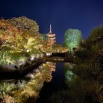 Sayaka Akimoto Instagram - 撮影終わりに、近藤芳正さんに教えて頂いた東寺のライトアップに。 立体曼荼羅も素敵でした。 京都は寺社仏閣が多くて、都民の私からしたらとっても羨ましい。 夜にお寺や神社に行けるなんて、なんて贅沢なんだ！と思ってしまうのです。 子供の頃から寺社仏閣に行くと、「いいなぁ、ここで布団を敷いて寝たいなぁ。」なんて考えていた無礼者でしたが、今も変わらず。 色々なお顔の仏像を拝みながら、気持ちが穏やかになっていくのを感じました。 最近は国内だけではなく、海外の友人にも日本の美しさや素晴らしさを感じて欲しいなぁ、なんて思いながら写真を撮る事が増えてきました。 自分の意識が変わってきているのを感じてちょっと楽しくなっています。 他にも教えて頂いた場所があるから、行ってみたいと思います。 魅力的な方々に囲まれて充実した日々を過ごしています☺️