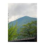Sayaka Akimoto Instagram - こんにちは。 最近は、山中で撮影しております。 舞台やスタジオ撮影でなかなか外に出られなかったので、夏を満喫できて嬉しいです。 皆さん、優しく受け入れて下さり、のびのびやらせて頂いてます。 基本的に外ロケなので、いい感じに日焼けしてきました🌞 ただ、暑すぎる！ので皆様体調管理にはお気をつけ下さいね。 感染者も再び増えてきておりますが、過度に怯え過ぎず、正しく恐れ、日々楽しく過ごせたら、と私は思ってます。