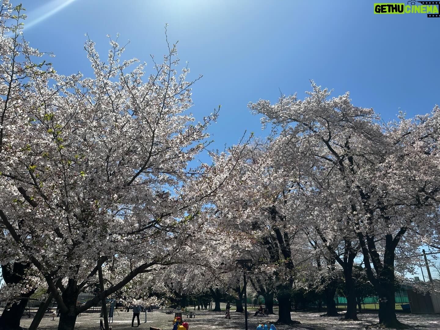 Sayaka Isoyama Instagram - 先日 桜がとても素敵なところにロケで行きました。 心が軽やかに色めきました。ありがとう。