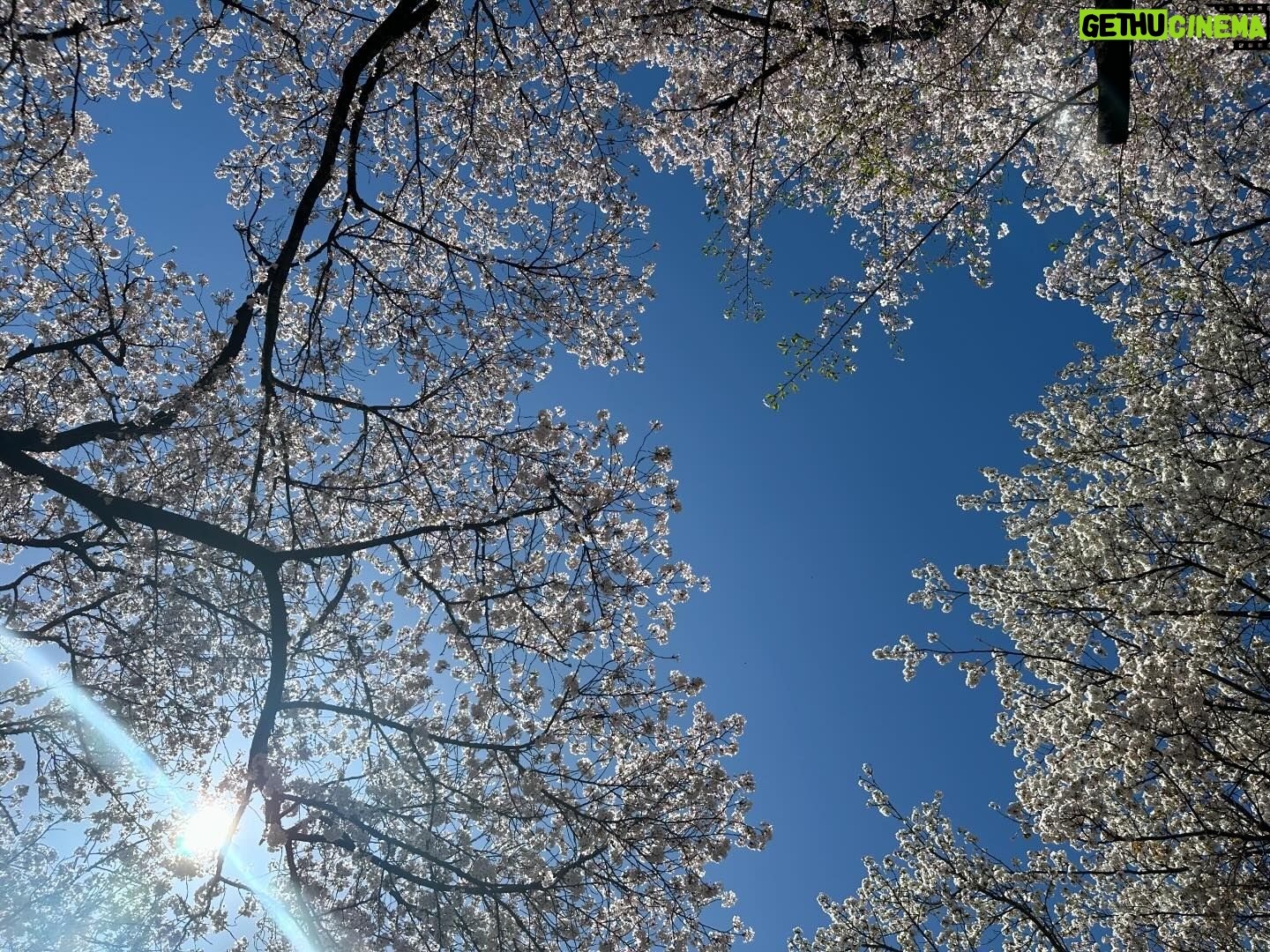 Sayaka Isoyama Instagram - 先日 桜がとても素敵なところにロケで行きました。 心が軽やかに色めきました。ありがとう。