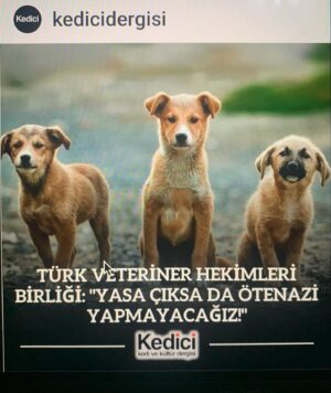 Şebnem Sönmez Instagram - BUDUR!
