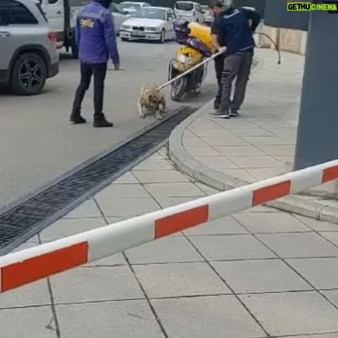 Şebnem Sönmez - 1.2K Likes - Günaydın.
Bugün sizlere güzel haber veremeyeceğim. Lütfen videoları izleyiniz.
Yer: İstanbul/Kartal AND Pastel Sitesi
Tarih: 15.03.2024
Adı geçen site sakinlerinin şikayeti üzerine belediye hemen "gerekeni" yapmış.
Ben de şikayet ediyorum, gereken hemen yapılsın!
Hiçbir yönetim (ne site, ne belediye ne de en üst düzey) kanıtlanmayan, sağlam dayanağı olmayan, karşılıklı tanıklıkları dinlenmemiş bir şikayeti hemen yürürlüğe alamaz.
Kimseye zarar vermemiş sokak hayvanlarını "birilerinin" şikayeti ile "keyiflerini kaçırdığı" için hemen böyle toplayamaz. Bu açıkça hem insan hem de hayvan hakları ihlalidir.
Öfkem bende kalsın, şimdilik bu kadar.
@kartalbld @chp @chpistanbulilbaskanligi @haytap