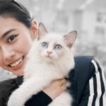 Seira Anzai Instagram - 初めましてラグドールの男の子“ハク” です🐾🤍 もちの兄弟として、お迎えしました。 毎日仲良く戦ってるみたいです~~ もちとハクをよろしくです＾＾