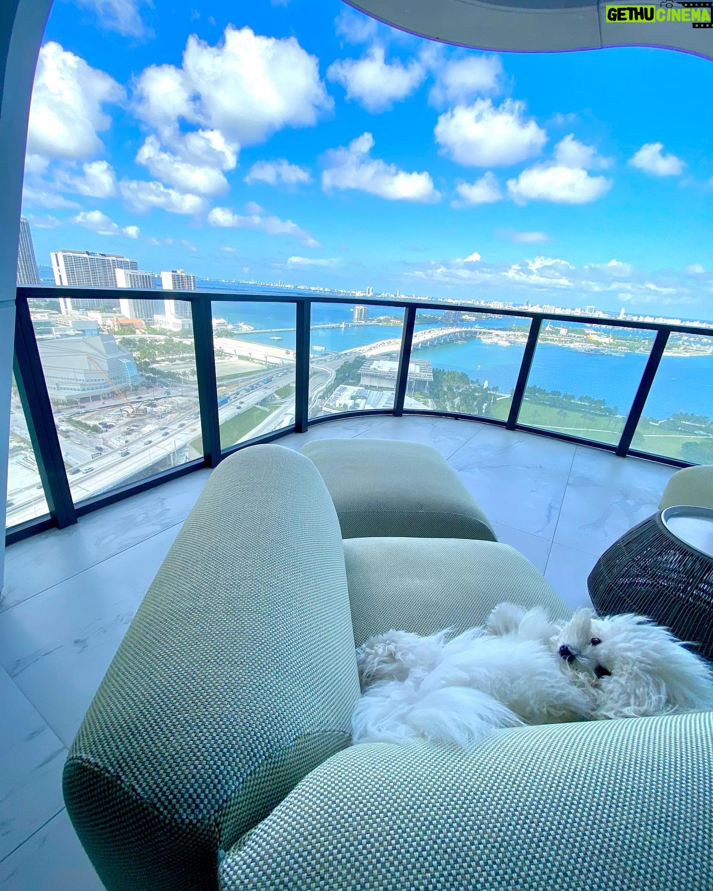 Sela Ward - 2.7K Likes - Ollie is mesmerized by the view. ⛅️