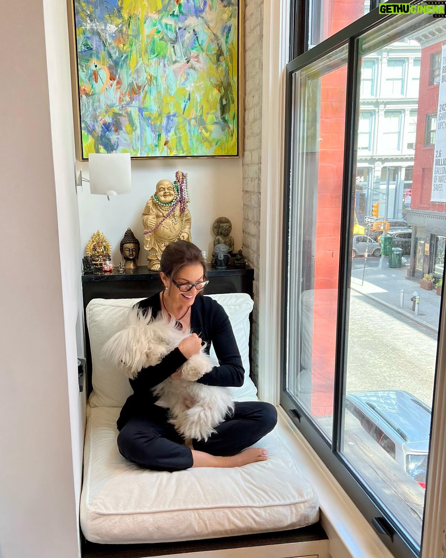Sela Ward - 2.8K Likes - Trying to give Ollie all the cuddles in our favorite people watching spot. 🐶🥰