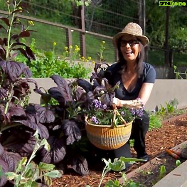 Sela Ward - 2.6K Likes - Just doing a little grocery shopping in my yard. 🥬 #socialdistancing 