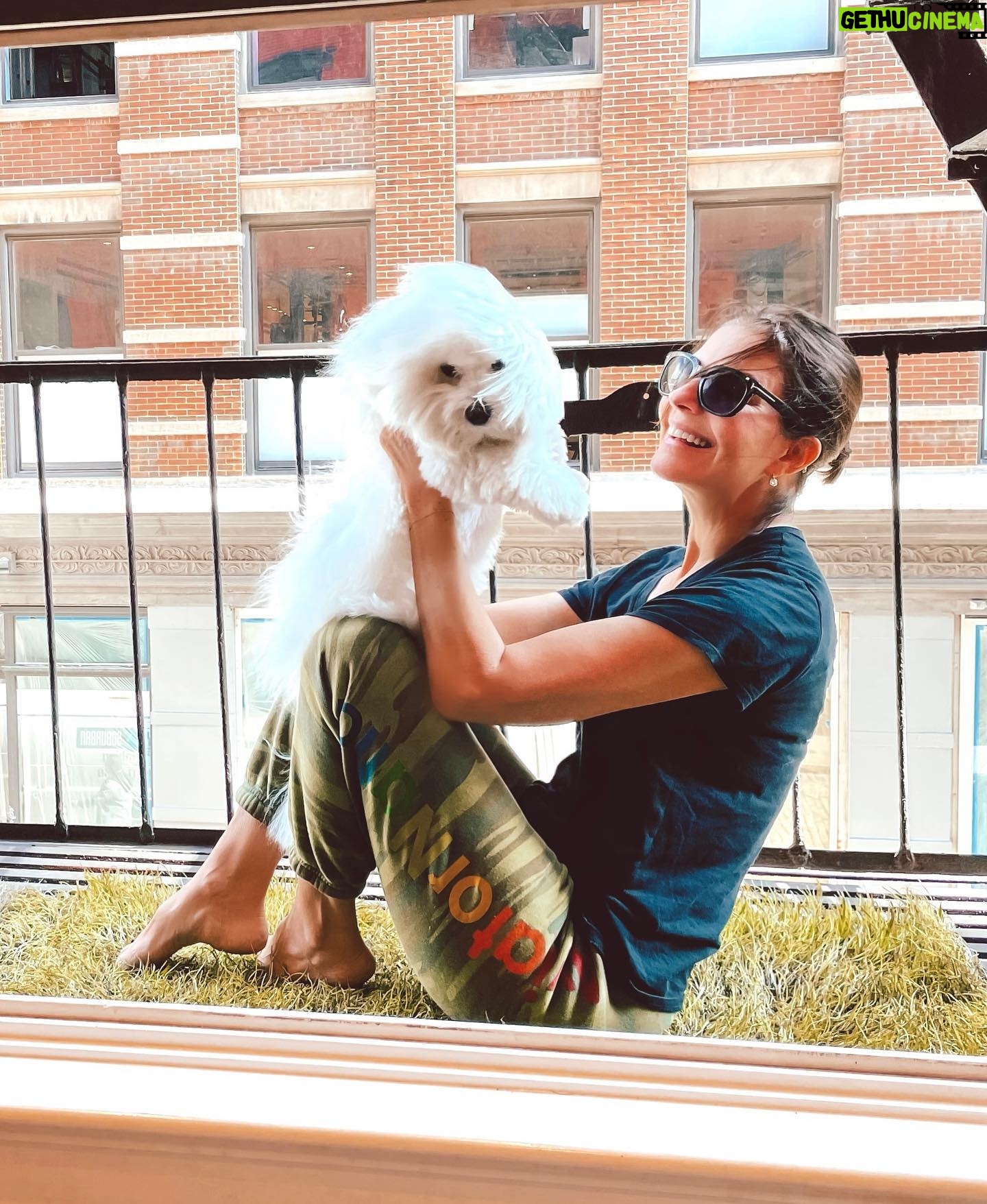 Sela Ward - 3.5K Likes - Just a little ball of fluff! 🤍