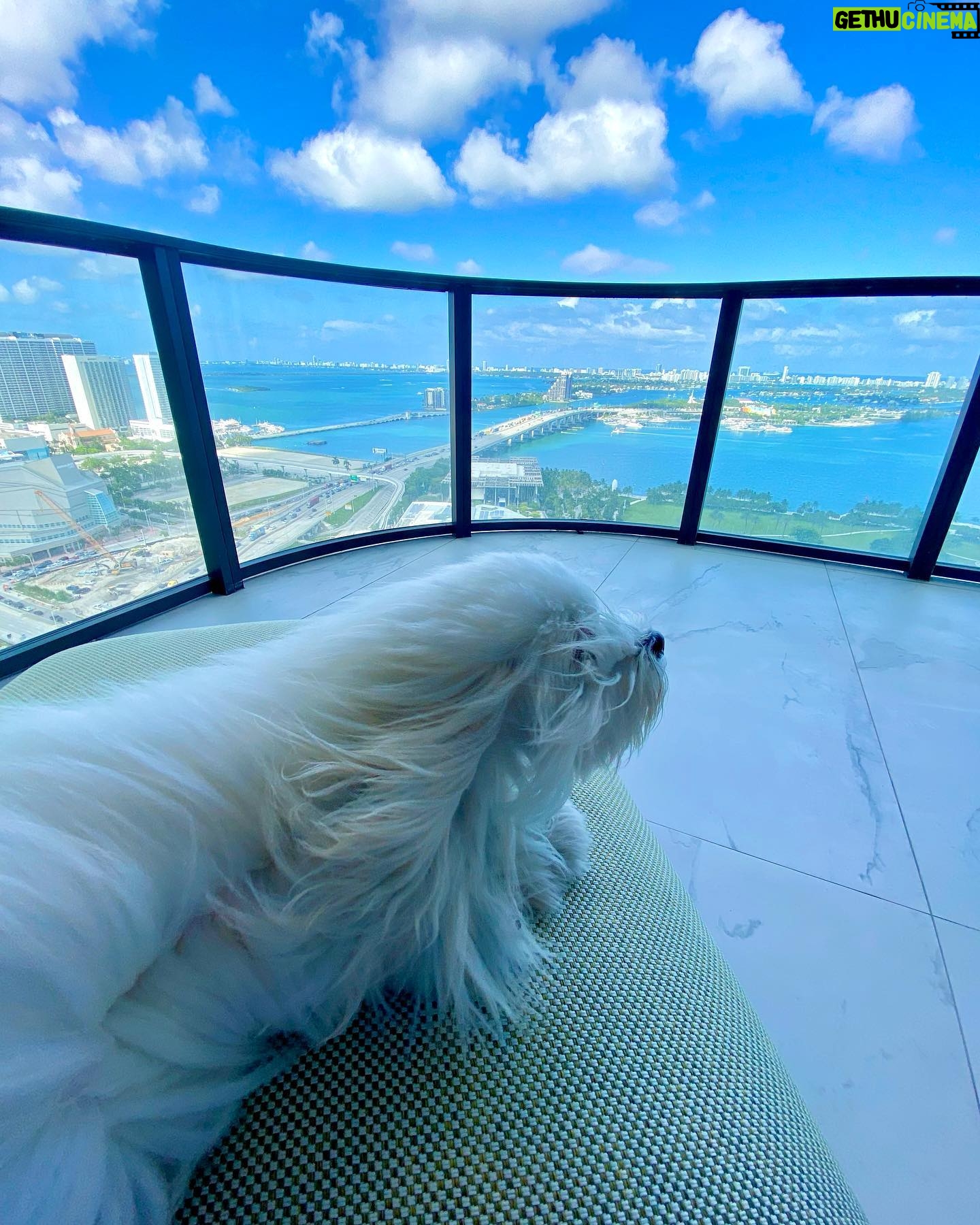 Sela Ward - 2.7K Likes - Ollie is mesmerized by the view. ⛅️