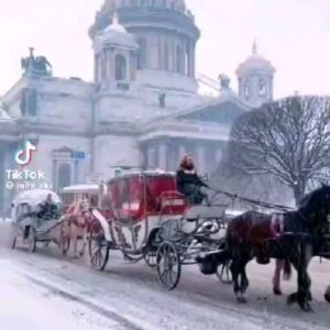Selda Alkor Instagram - Diliyorum 2024 tüm dünyaya iyiliklerle güzelliklerle gelsin hastalıklar savaşlar açlık afetler son bulsun Allahım ülkemizi insanımızı korusun 🎅🎄🎉🎶💃🎊✨️💕

#seldaalkor #oyuncu #sanatçı #star #türkfilm #yeşilçam #siyahbeyaz #sevgi #dizi #asmalıkonak #sultan #yeşilgöz #atatürk #mevlana #müzikal #istanbul #tiyatro #Türkiye #sokaktakicanlar #yeniyıl #noelbaba #2024