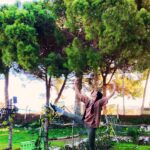 Selen Seyven