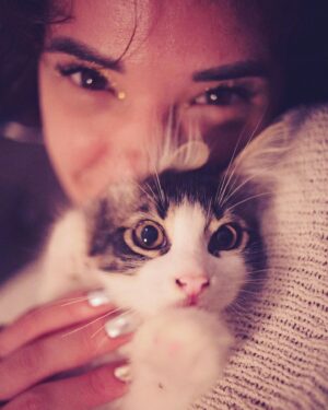 Selen Seyven Instagram - Kedi

By , @alper.doruk