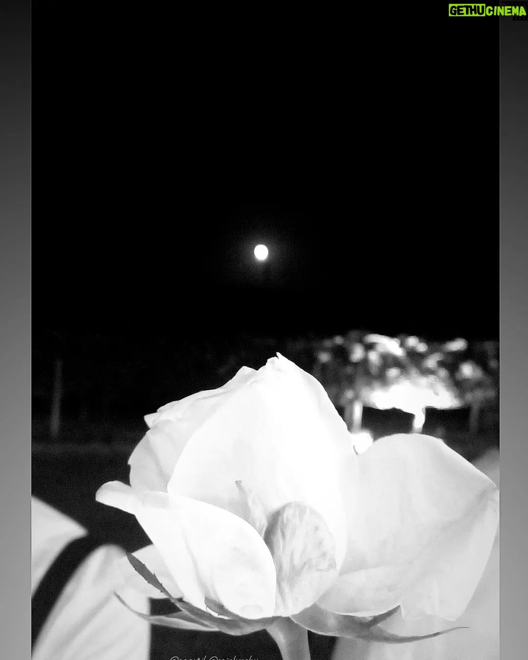 Selen Soyder - 3 Likes - En iyi arkadasim evleniyor 🥳🌑 👰🏻♀️🌻