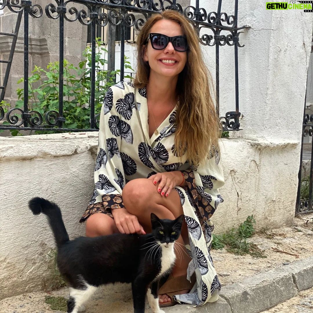 Selen Soyder - 3 Likes - Iyi bayramlar😻 meoow😻