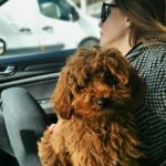 Selen Soyder Instagram - My baby