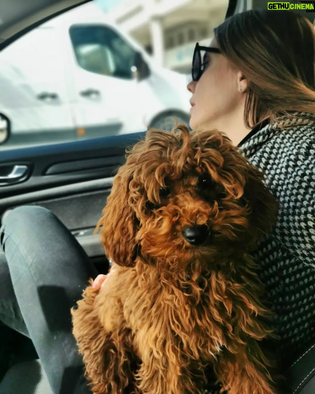 Selen Soyder - 3 Likes - My baby