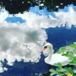 Selen Soyder Instagram -