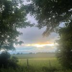 Self Esteem Instagram - I know what to do
