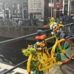 Selin Genç Instagram - Kısa günün karı gibi #dump #amsterdam 🤸